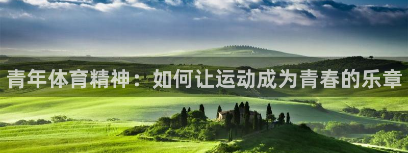 球宴体育比分