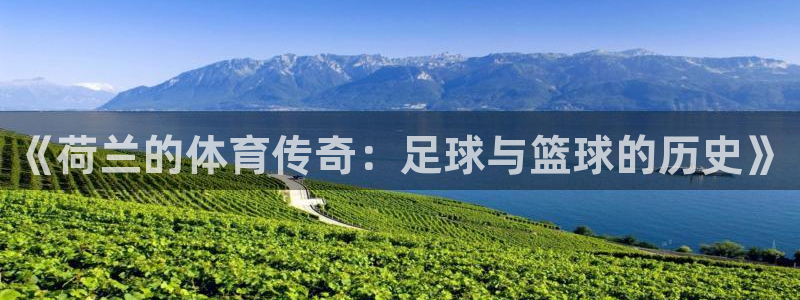 球宴体育下载最新版本更新内容：《荷兰的体育传奇：足球与篮球的历史》