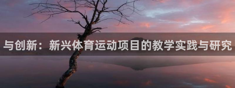 球宴体育下载最新版本更新内容：与创新：新兴体育运动项目的教学实践与研究