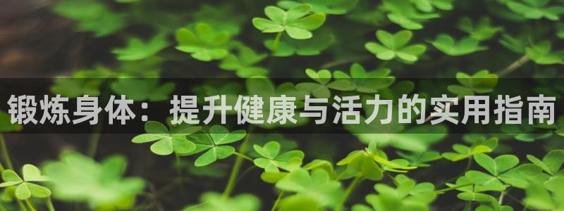 球宴体育下载app