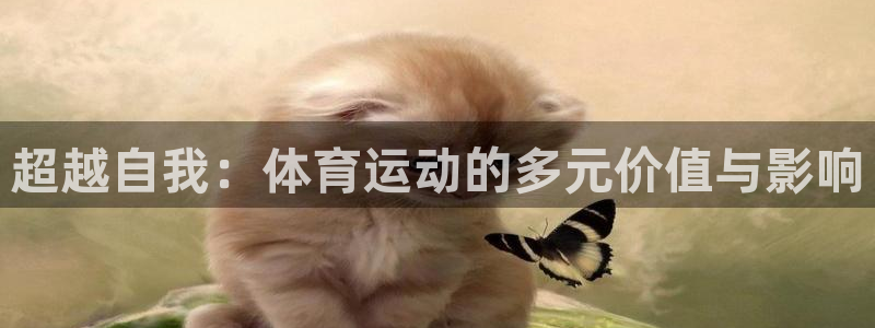 球宴体育app