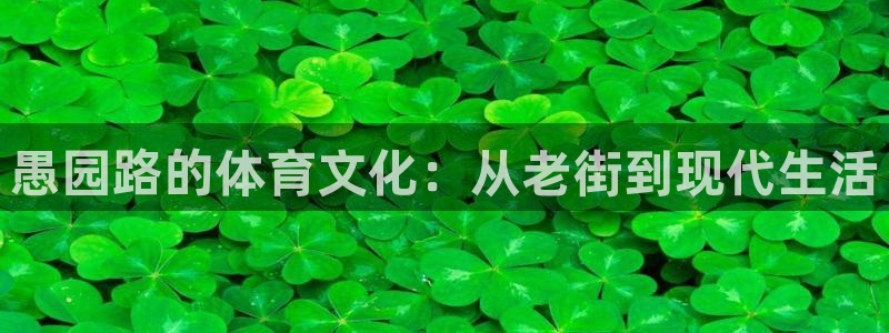 球宴体育