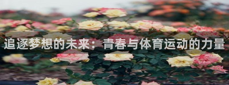 球宴体育app下载官网：追逐梦想的未来：青春与体育运动的力量