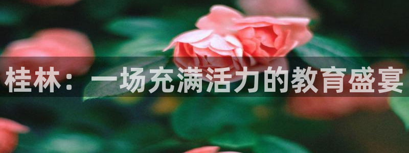 球宴体育：桂林：一场充满活力的教育盛宴