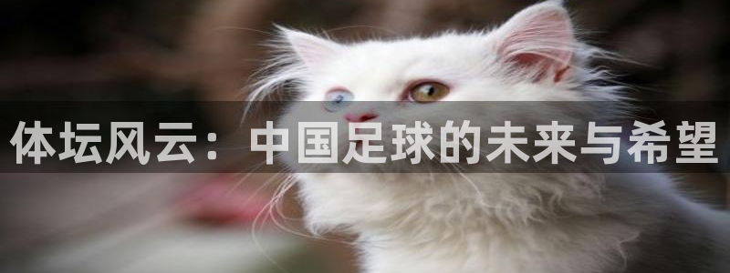 球宴体育下载：体坛风云：中国足球的未来与希望